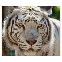 White Tiger 2 Medium Zipper Tote Bag from ArtsNow.com Front