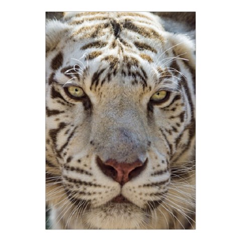 White Tiger 2 Large Tapestry from ArtsNow.com Front