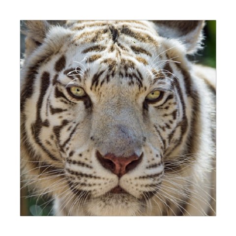White Tiger 2 Square Tapestry (Large) from ArtsNow.com Front