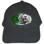 White Tiger Black Cap