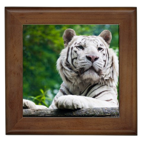 White Tiger Framed Tile from ArtsNow.com Front