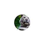 White Tiger 1  Mini Magnet