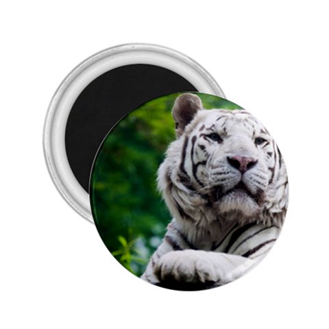 White Tiger 2.25  Magnet from ArtsNow.com Front