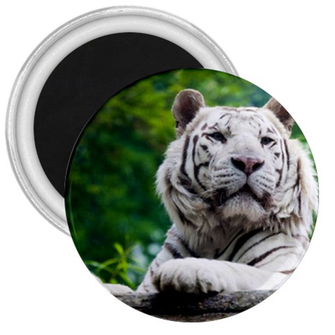 White Tiger 3  Magnet from ArtsNow.com Front