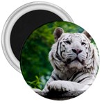White Tiger 3  Magnet