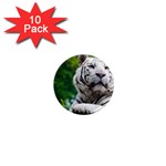 White Tiger 1  Mini Magnet (10 pack) 