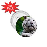 White Tiger 1.75  Button (10 pack) 