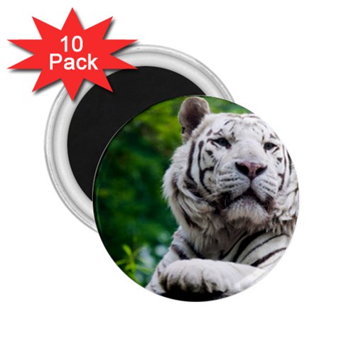 White Tiger 2.25  Magnet (10 pack) from ArtsNow.com Front