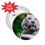 White Tiger 2.25  Button (100 pack)
