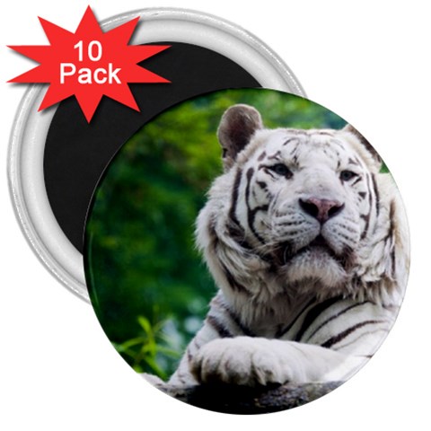 White Tiger 3  Magnet (10 pack) from ArtsNow.com Front