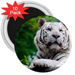 White Tiger 3  Magnet (10 pack)