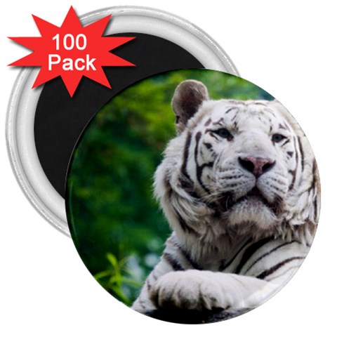 White Tiger 3  Magnet (100 pack) from ArtsNow.com Front