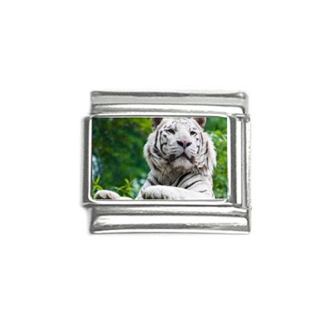 White Tiger Italian Charm (9mm) from ArtsNow.com Front