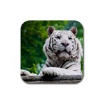 White Tiger Rubber Square Coaster (4 pack)