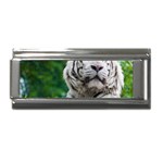 White Tiger Superlink Italian Charm (9mm)