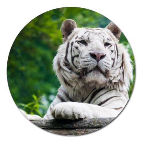 White Tiger Magnet 5  (Round) from ArtsNow.com Front
