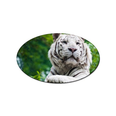 White Tiger Sticker Oval (100 pack) from ArtsNow.com Front