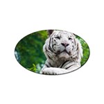 White Tiger Sticker Oval (100 pack)