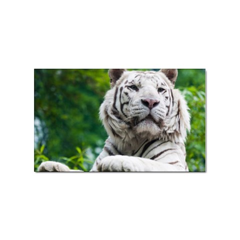 White Tiger Sticker Rectangular (10 pack) from ArtsNow.com Front