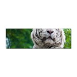 White Tiger Sticker Bumper (10 pack)