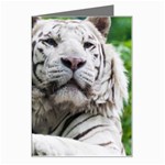 White Tiger Greeting Card