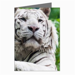 White Tiger Greeting Cards (Pkg of 8) from ArtsNow.com Left