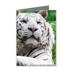 White Tiger Mini Greeting Card