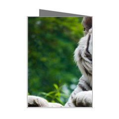 White Tiger Mini Greeting Card from ArtsNow.com Right