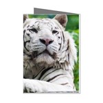 White Tiger Mini Greeting Cards (Pkg of 8)