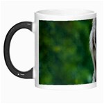 White Tiger Morph Mug