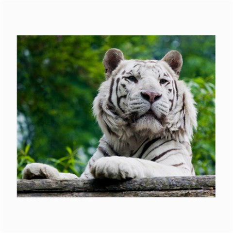 White Tiger Small Glasses Cloth from ArtsNow.com Front