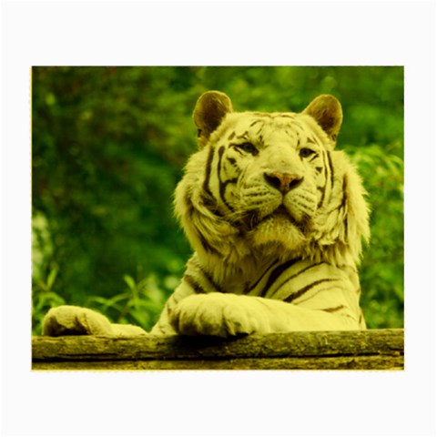White Tiger Small Glasses Cloth from ArtsNow.com Front