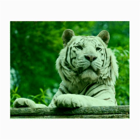 White Tiger Small Glasses Cloth from ArtsNow.com Front