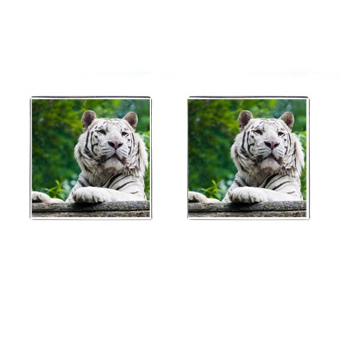 White Tiger Cufflinks (Square) from ArtsNow.com Front(Pair)