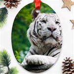 White Tiger Oval Ornament (Two Sides)