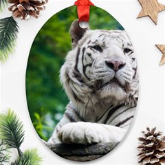 White Tiger Oval Ornament (Two Sides) from ArtsNow.com Back