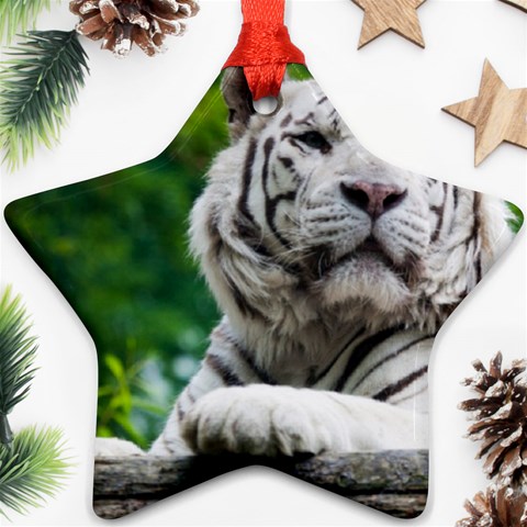 White Tiger Star Ornament (Two Sides) from ArtsNow.com Front