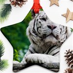 White Tiger Star Ornament (Two Sides)