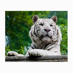 White Tiger Small Glasses Cloth (2 Sides) from ArtsNow.com Back