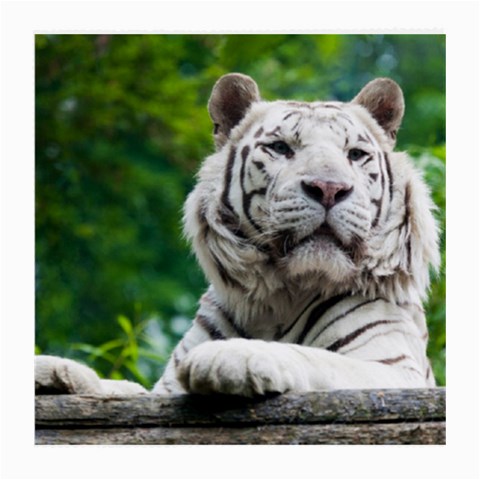 White Tiger Medium Glasses Cloth from ArtsNow.com Front