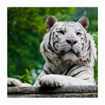 White Tiger Medium Glasses Cloth