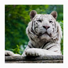White Tiger Medium Glasses Cloth (2 Sides) from ArtsNow.com Back