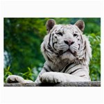 White Tiger Large Glasses Cloth