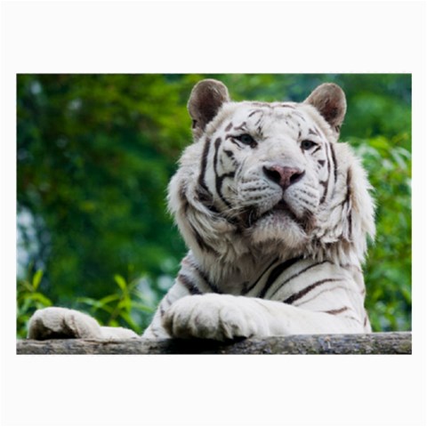 White Tiger Large Glasses Cloth (2 Sides) from ArtsNow.com Back