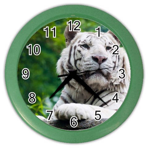 White Tiger Color Wall Clock from ArtsNow.com Front