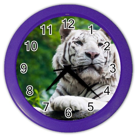 White Tiger Color Wall Clock from ArtsNow.com Front