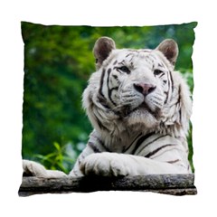 White Tiger Standard Cushion Case (Two Sides) from ArtsNow.com Back