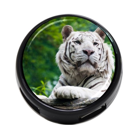White Tiger 4 Front