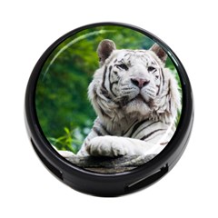 White Tiger 4 Back