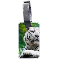 White Tiger Luggage Tag (two sides) from ArtsNow.com Back